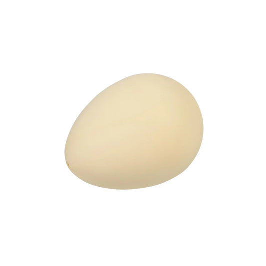 Hatch Your Own Dinosaur Egg