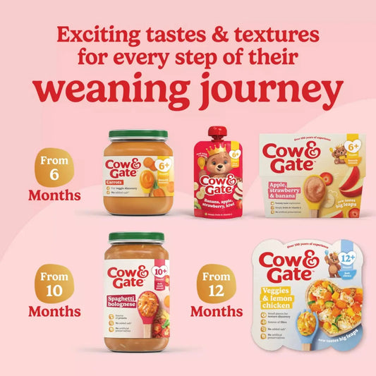 Cow & Gate Cauliflower Baby Food Snack Jar 6+ Months 125g