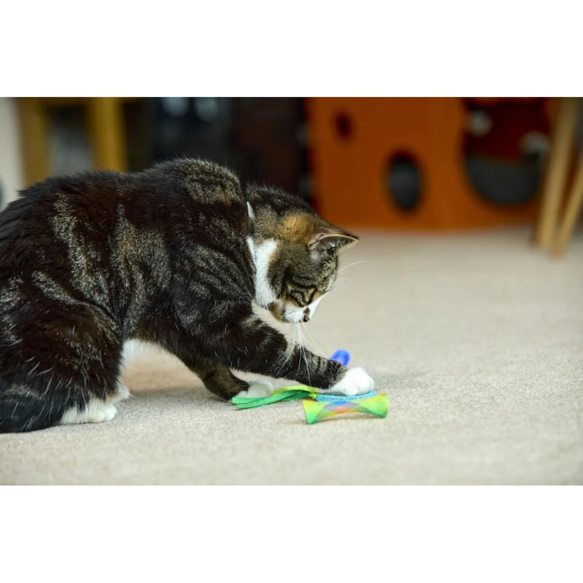 Catkins Springy Cat Toys 3 per pack