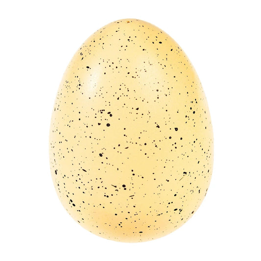 Giant Hatching Dinosaur Egg Prehistoric Land