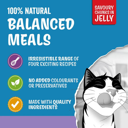 Felix Original Mixed Selection in Jelly Wet Cat Food 40 x 85g