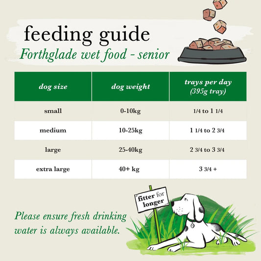 Forthglade Senior Natural Grain Free Wet Dog Food Turkey 7 yrs+ 395g