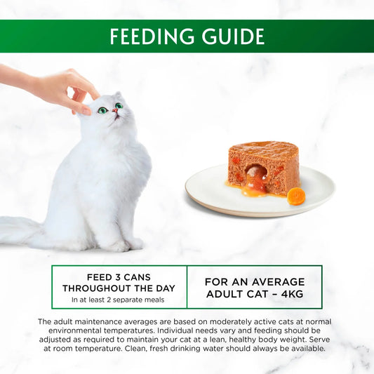 Gourmet Nature's Creations Gravy Heart Chicken Wet Cat Food 85g