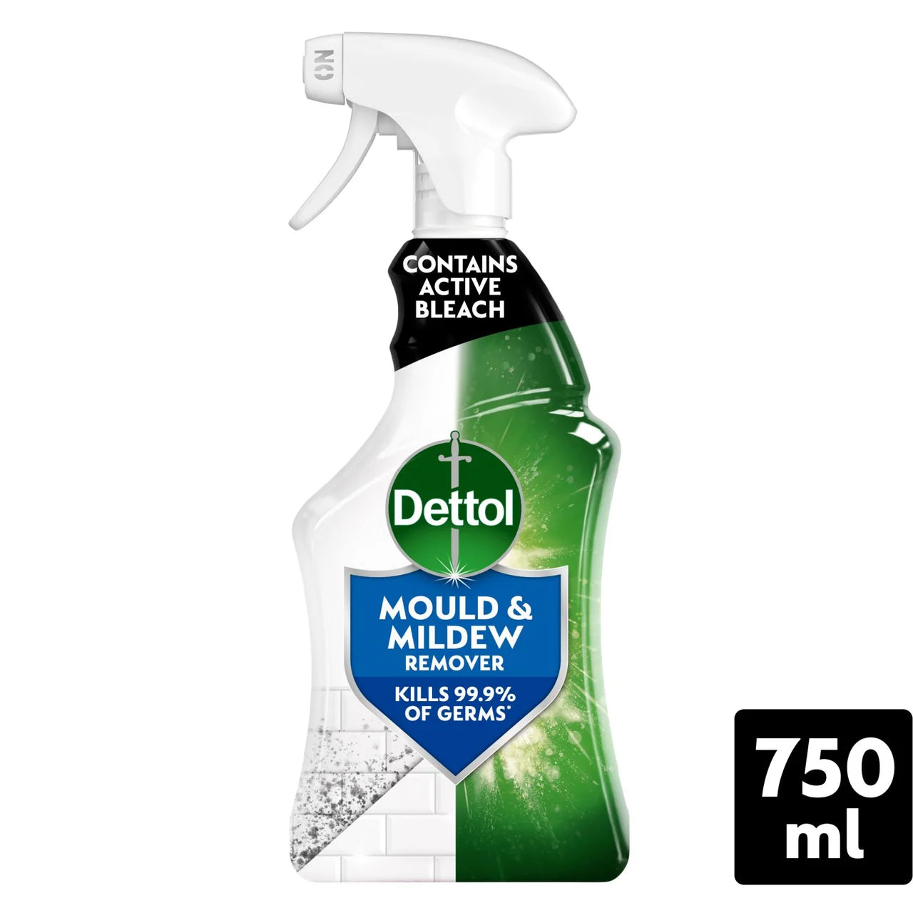 Dettol Mould & Mildew 750ml