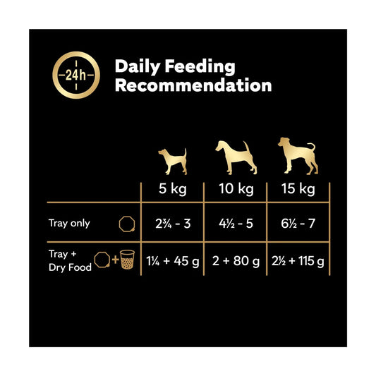 Cesar Juicy Hotpot Adult Wet Dog Food Trays Mixed in Gravy 8x150g