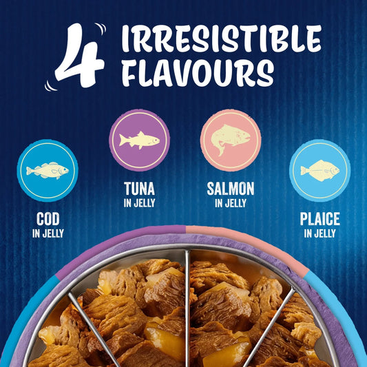 Felix As Good As it Looks Ocean Feasts in Jelly Wet Cat Food 40 x 85g