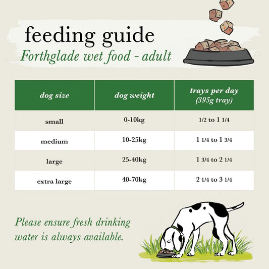 Forthglade Natural Grain Free Wet Dog Food Turkey with Sweet Potato 395g