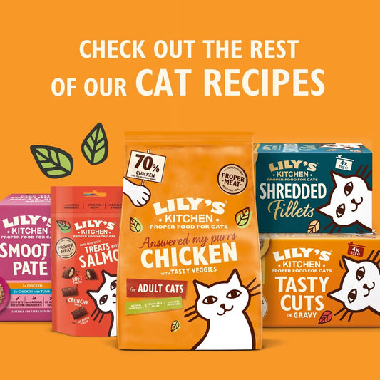 Lily's Kitchen Cat Smooth Chicken & Salmon Pate 85g