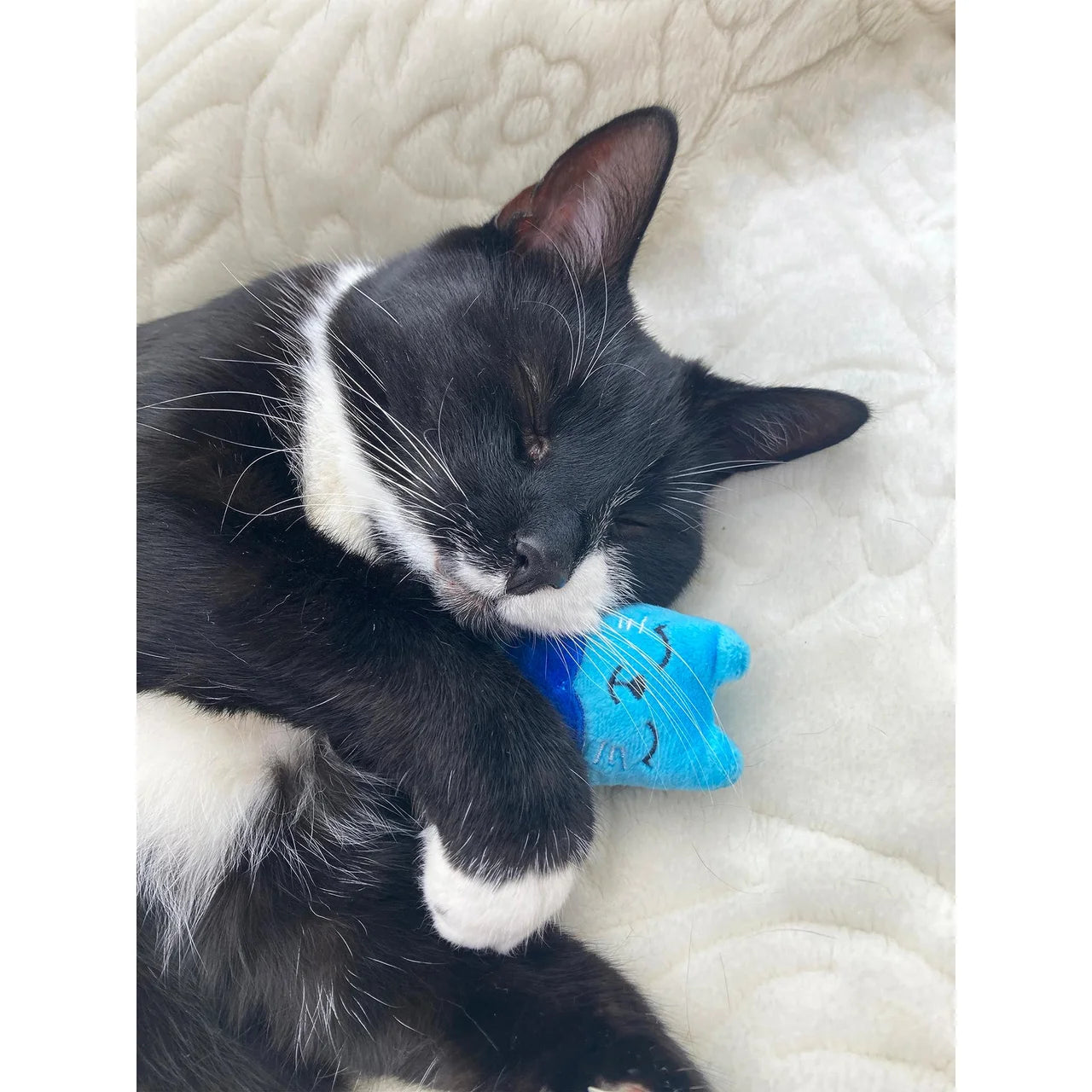 Battersea Catnip Cats 3 per pack