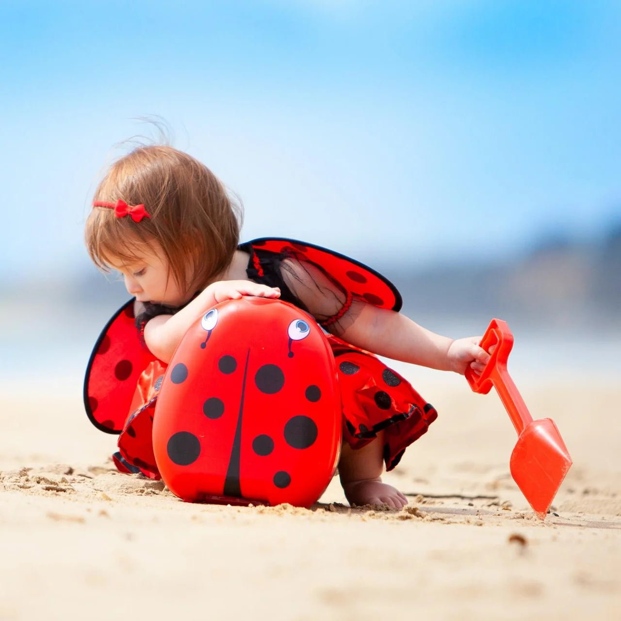 My Carry Potty Ladybird