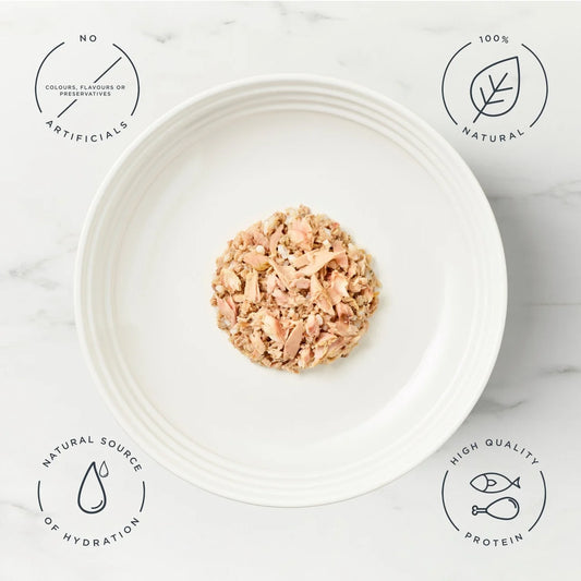 Encore Cat Fish Selection 12 x 70g