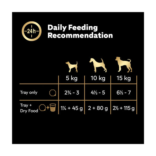 Cesar Country Stew Adult Wet Dog Food Trays Special Selection 8x150g