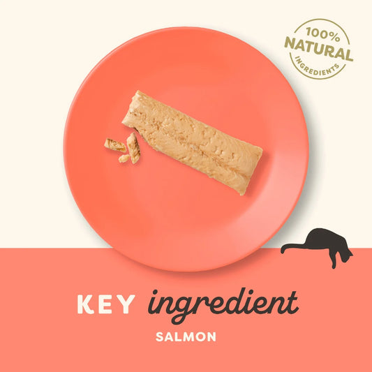 Applaws Natural Cat Treat Salmon Loin Grain Free 30g