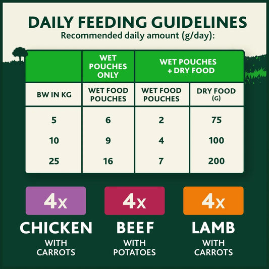 Winalot Meaty Chunks Mixed in Gravy Wet Dog Food 12x100g