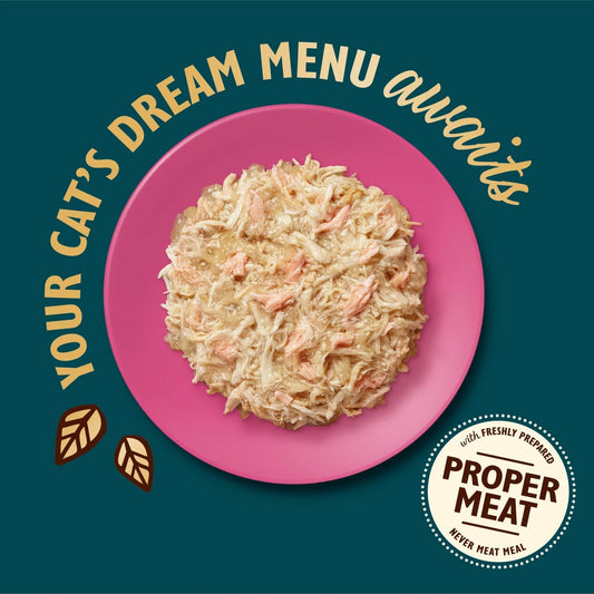 Lily's Kitchen Cat Shredded Fillets Chicken with Salmon in Jelly 70g