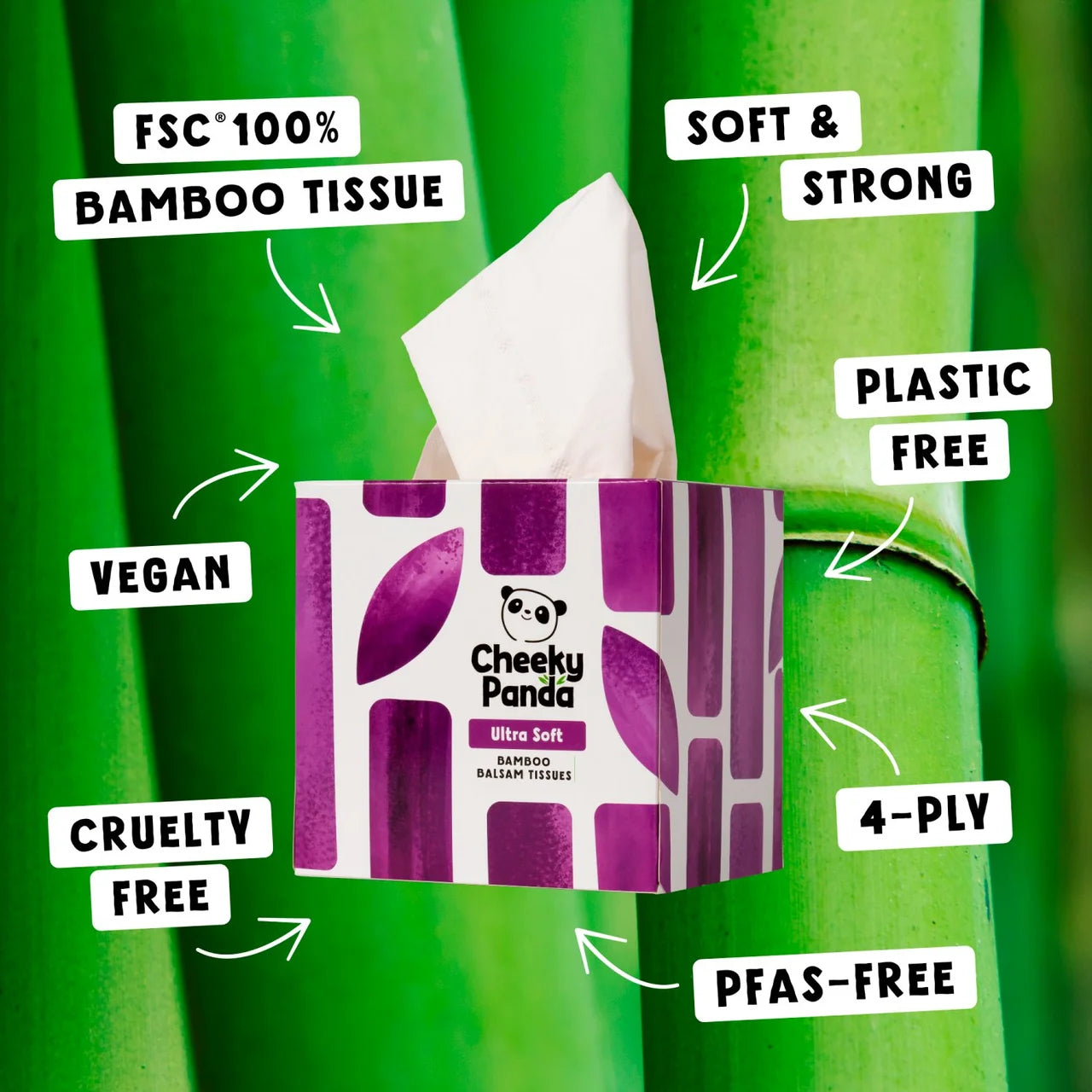Cheeky Panda Bamboo 4 Ply Balsam Cube Tissues 48 per pack