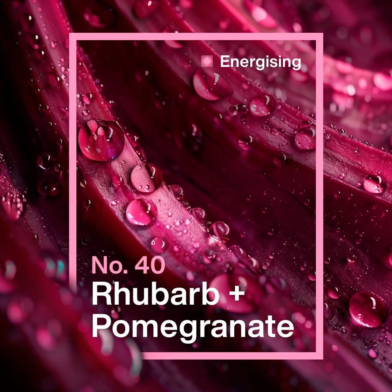 INEOS Washing Up Liquid Rhubarb + Pomegranate 500ml