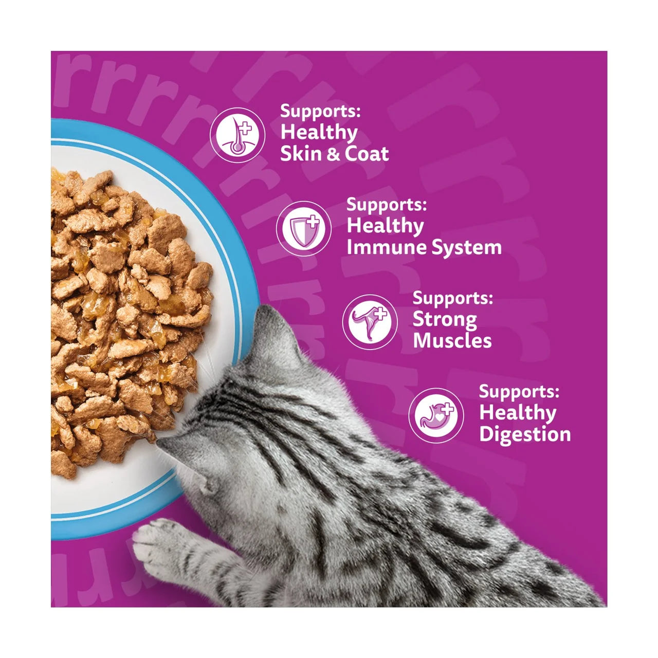 Whiskas 1+ Adult Wet Cat Food Pouches Fish Favourites in Jelly 80 x 85g