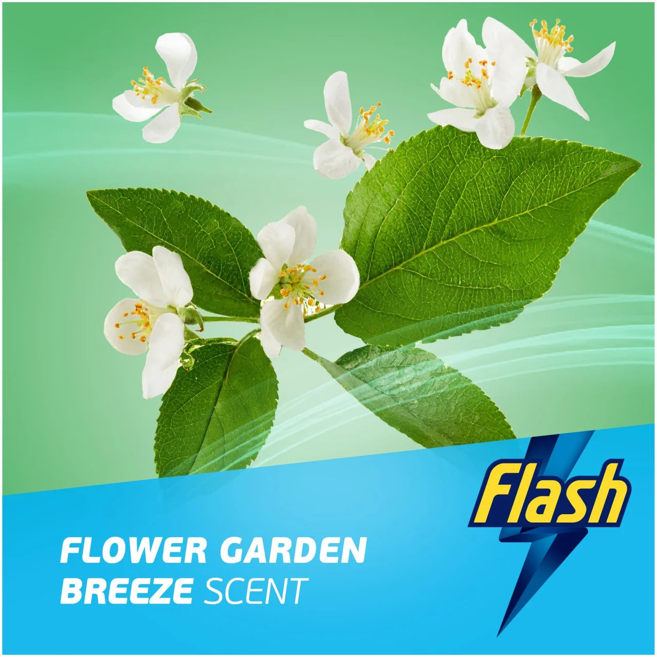 Flash Direct to Floor Cleaner Garden Breeze 800ml