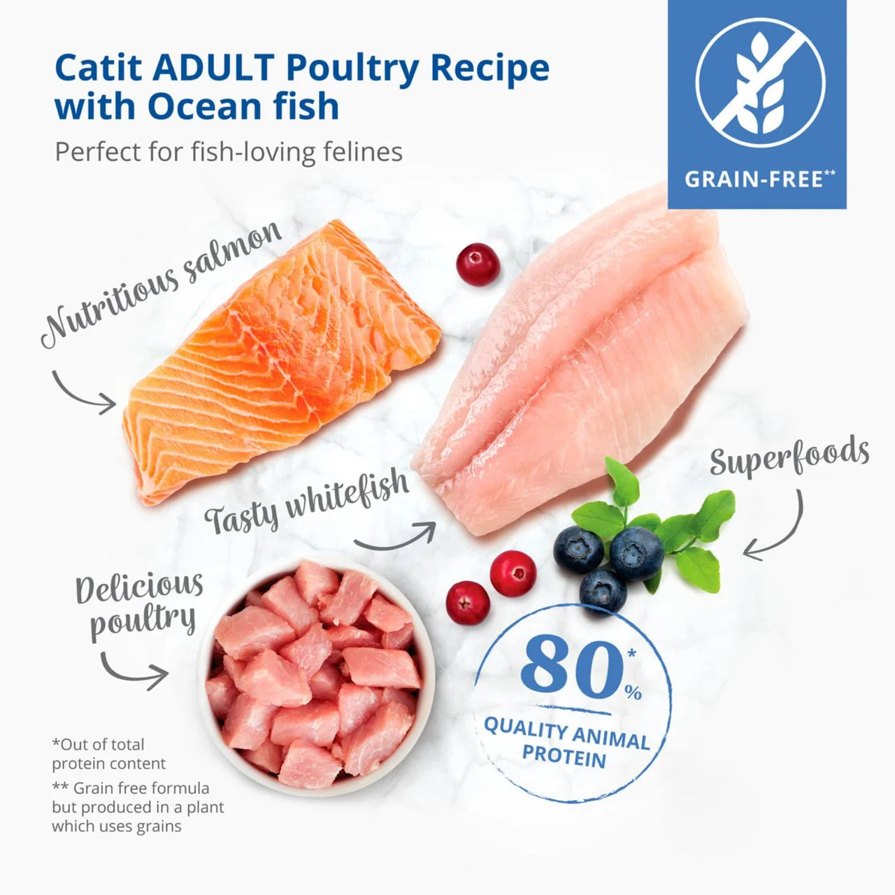 Catit Recipe Dry Adult Oceanfish 2kg