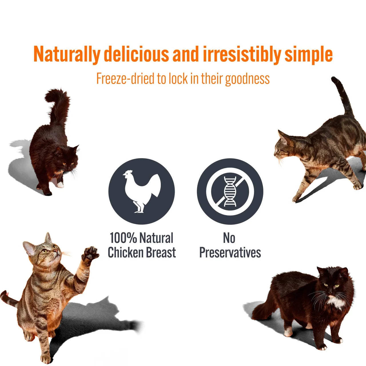 HiLife It's only Natural Chicken Breast Cat Treats 10g