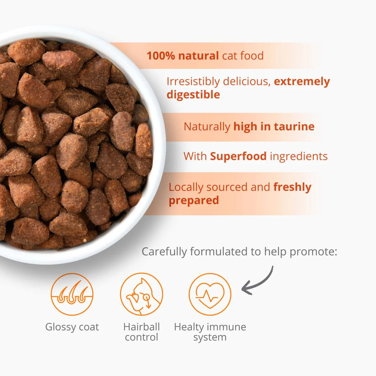 Catit Recipes Dry Adult Poultry 2kg