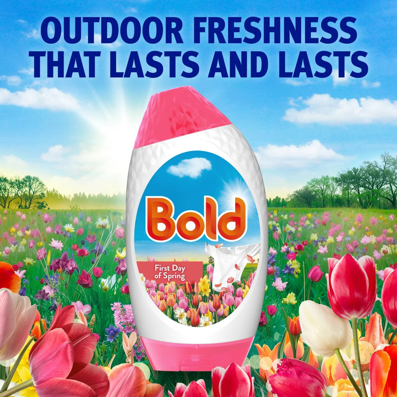 Bold 2In1 Washing Liquid Gel Pink Blossom 40 Washes 1320ml