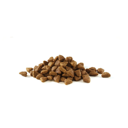 Purina One Coat & Hairball Chicken Dry Cat Food 750g