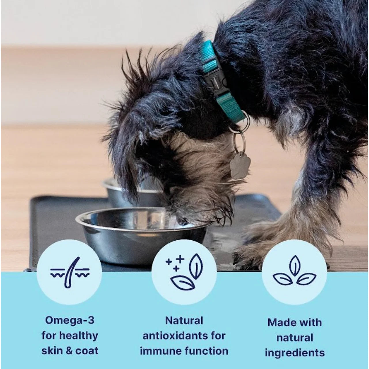 Tails.com Inner Vitality Adult Dog Wet Food Chicken 150g