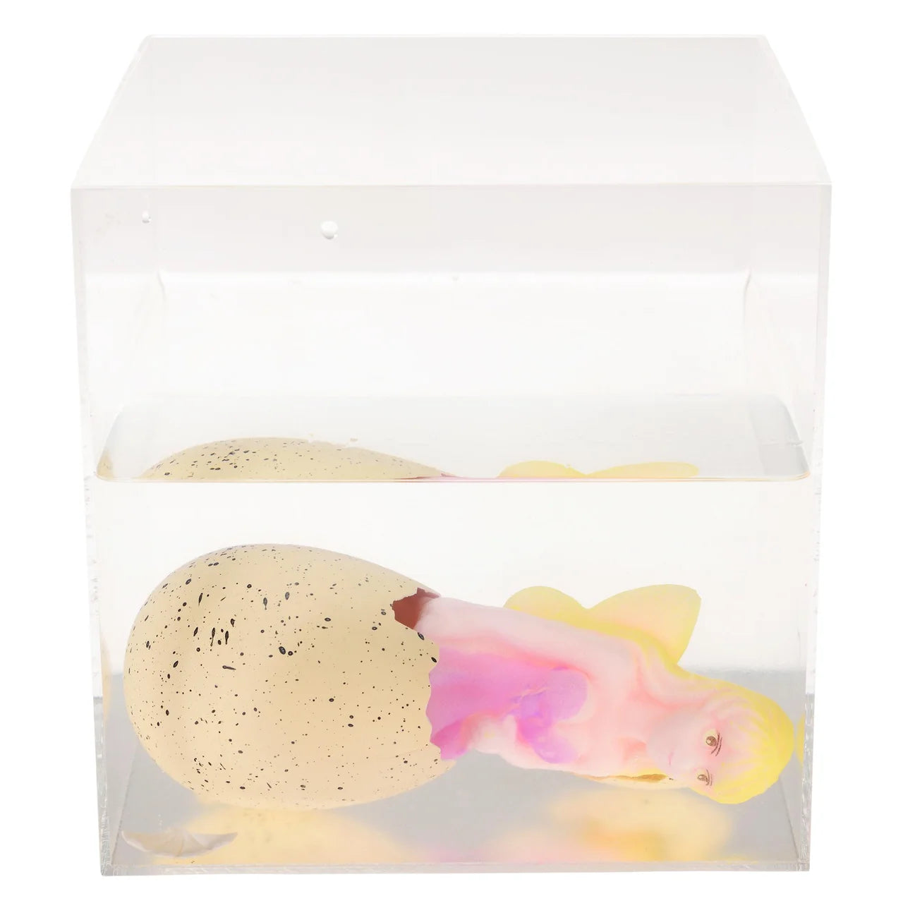 Rex London Fairies in the Garden Giant Hatching Fairy Egg