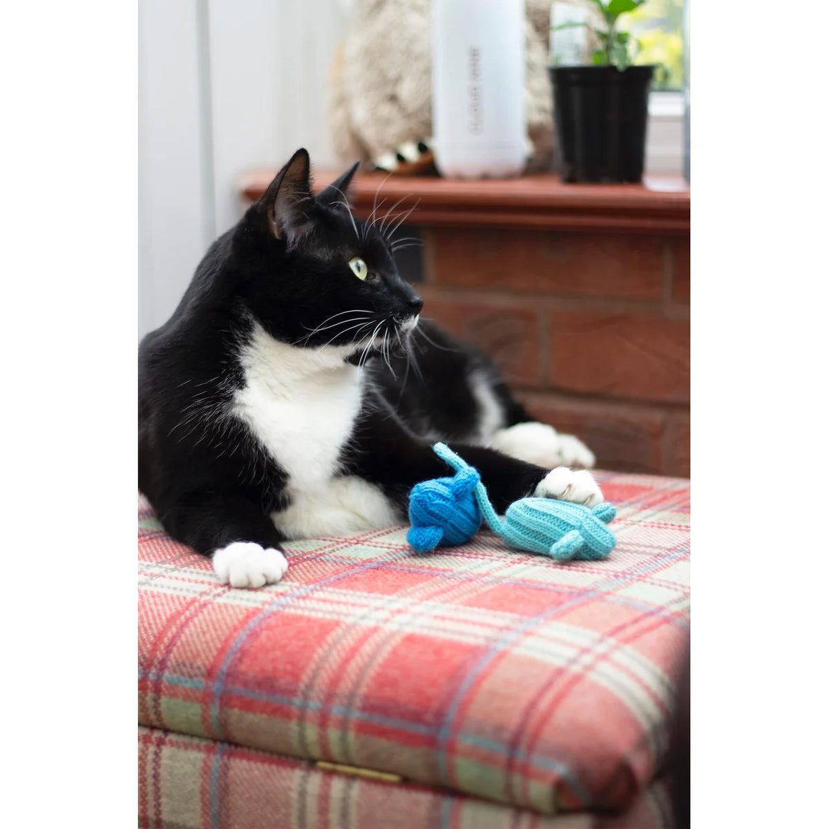 Battersea Tune Chaser Mice 3 per pack