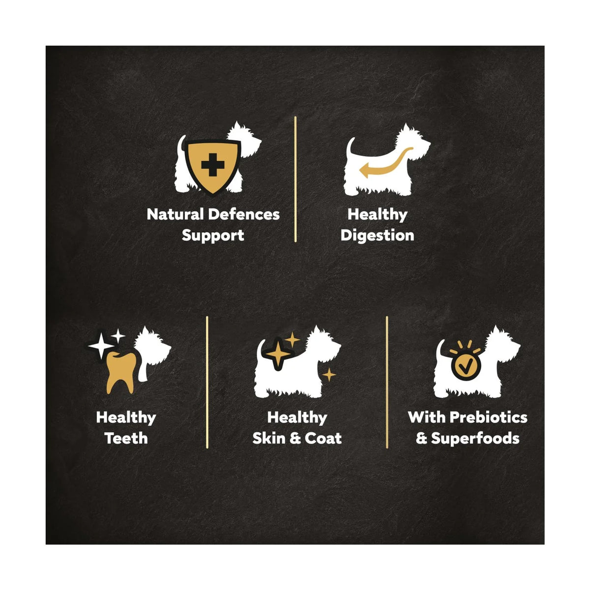 Cesar Complete Dry Adult Dog Food with Chicken, Salmon and Vegetables 1.4kg