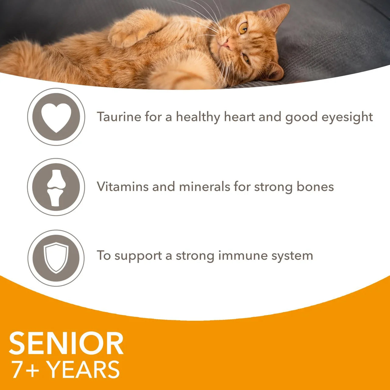 Iams Delights Senior Chicken in Gravy Pouch 85g