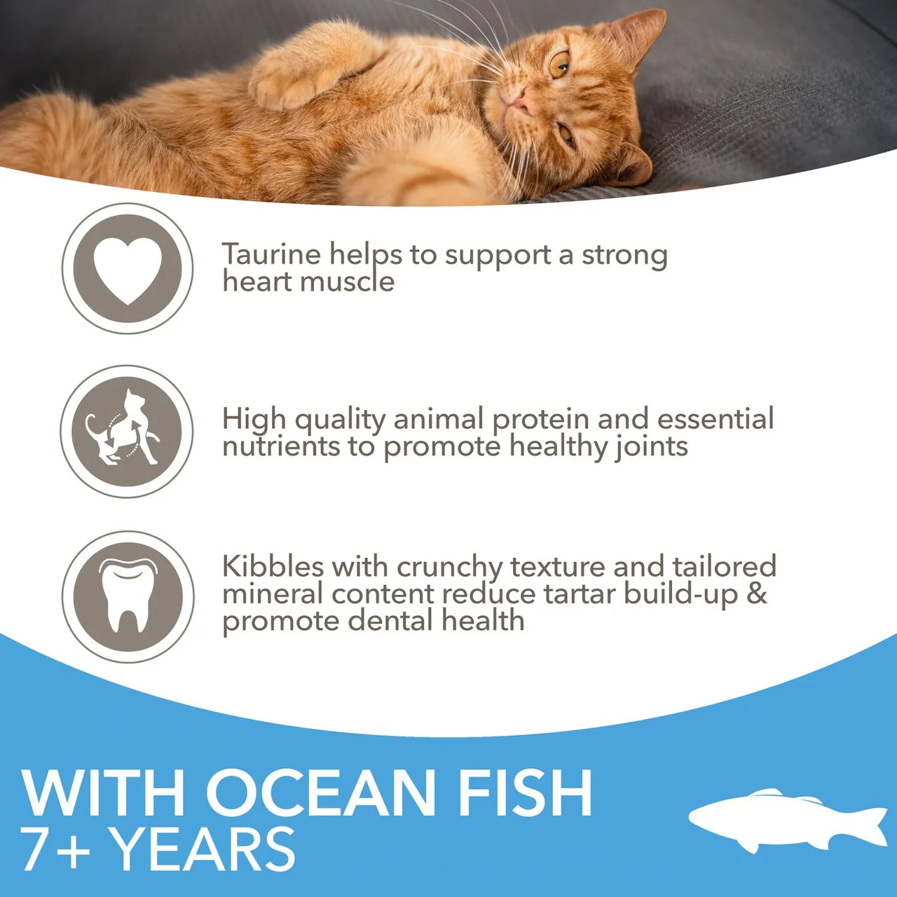 IAMS Advanced Nutrition Senior Cat Food With Ocean Fish 800g
