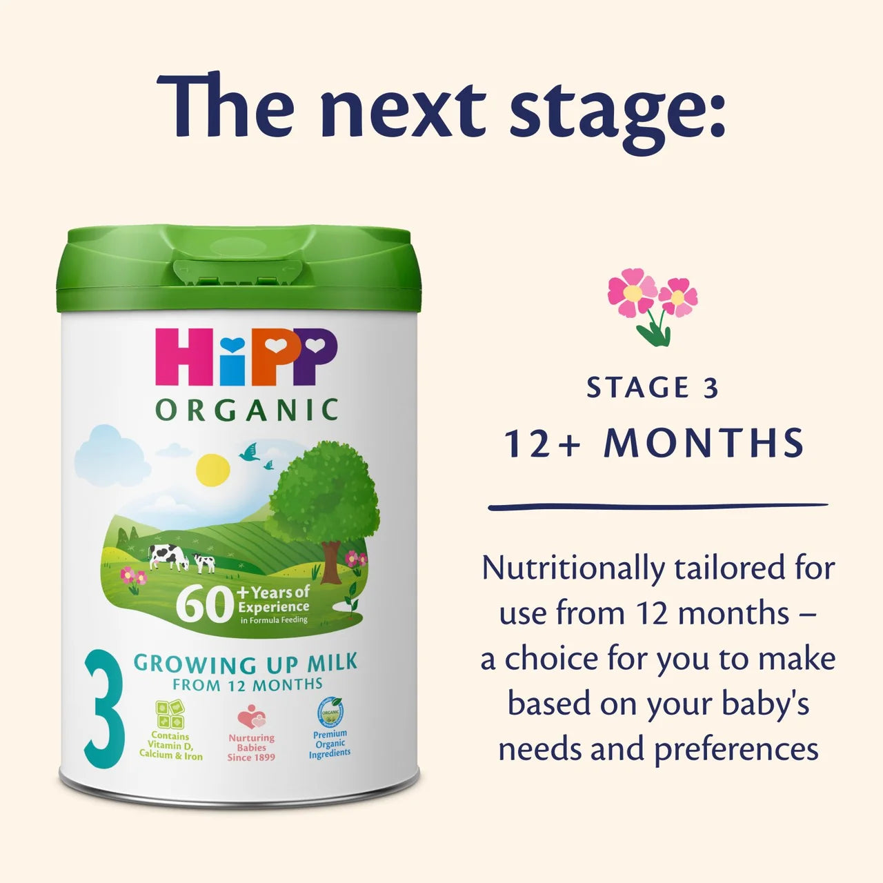 HiPP Organic 2 Follow on Baby Milk Powder Formula From 6 Months 800g