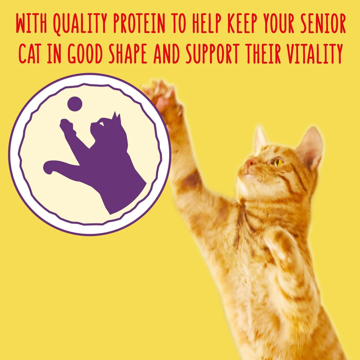 Go-Cat Senior Chicken Dry Cat Food 2kg