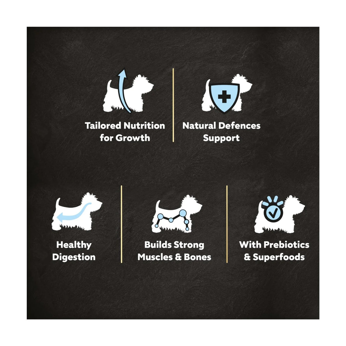 Cesar Complete Dry Puppy Food with Chicken, Rice and Vegetables 1.4kg