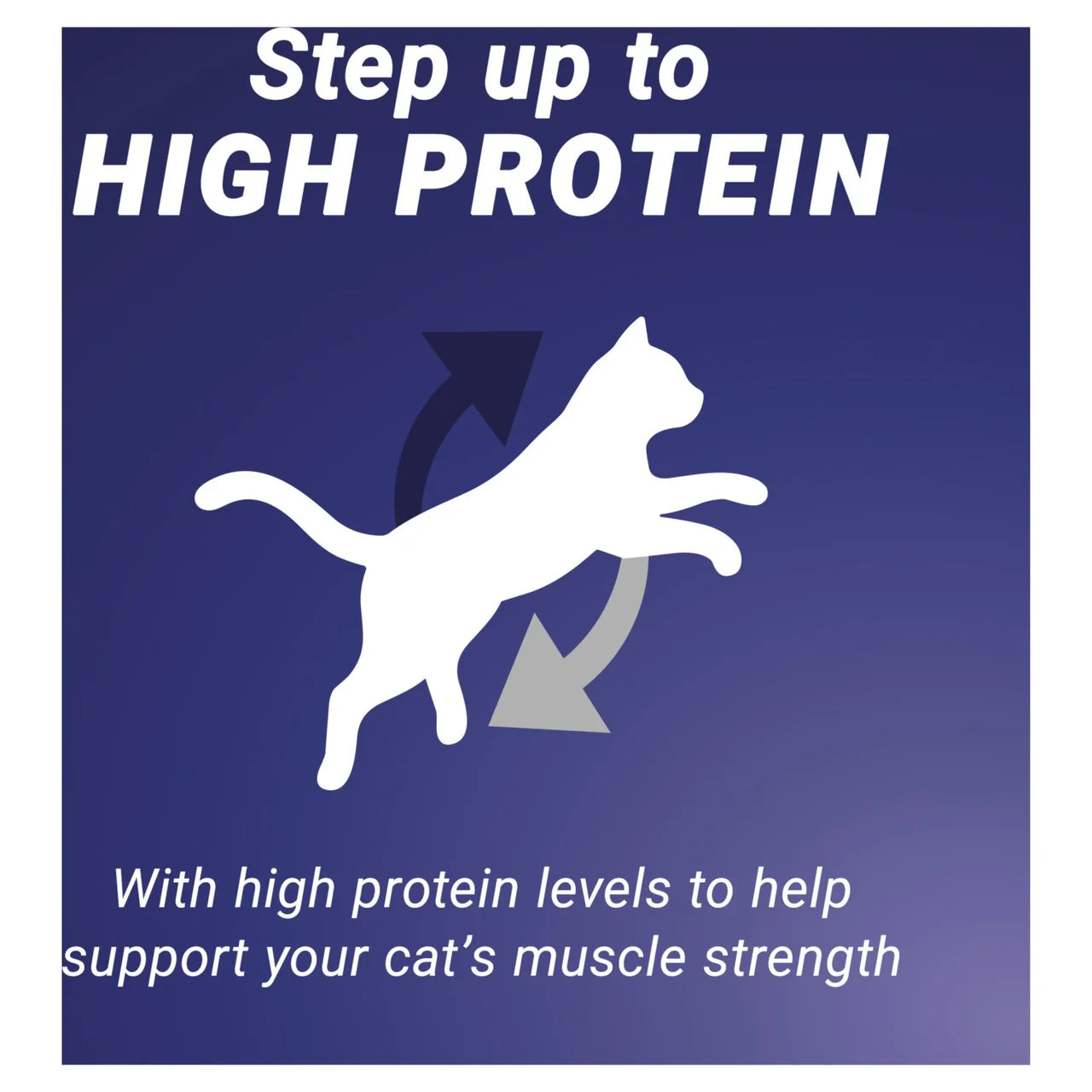 Purina One High Protein Chicken Dry Cat Food 650g