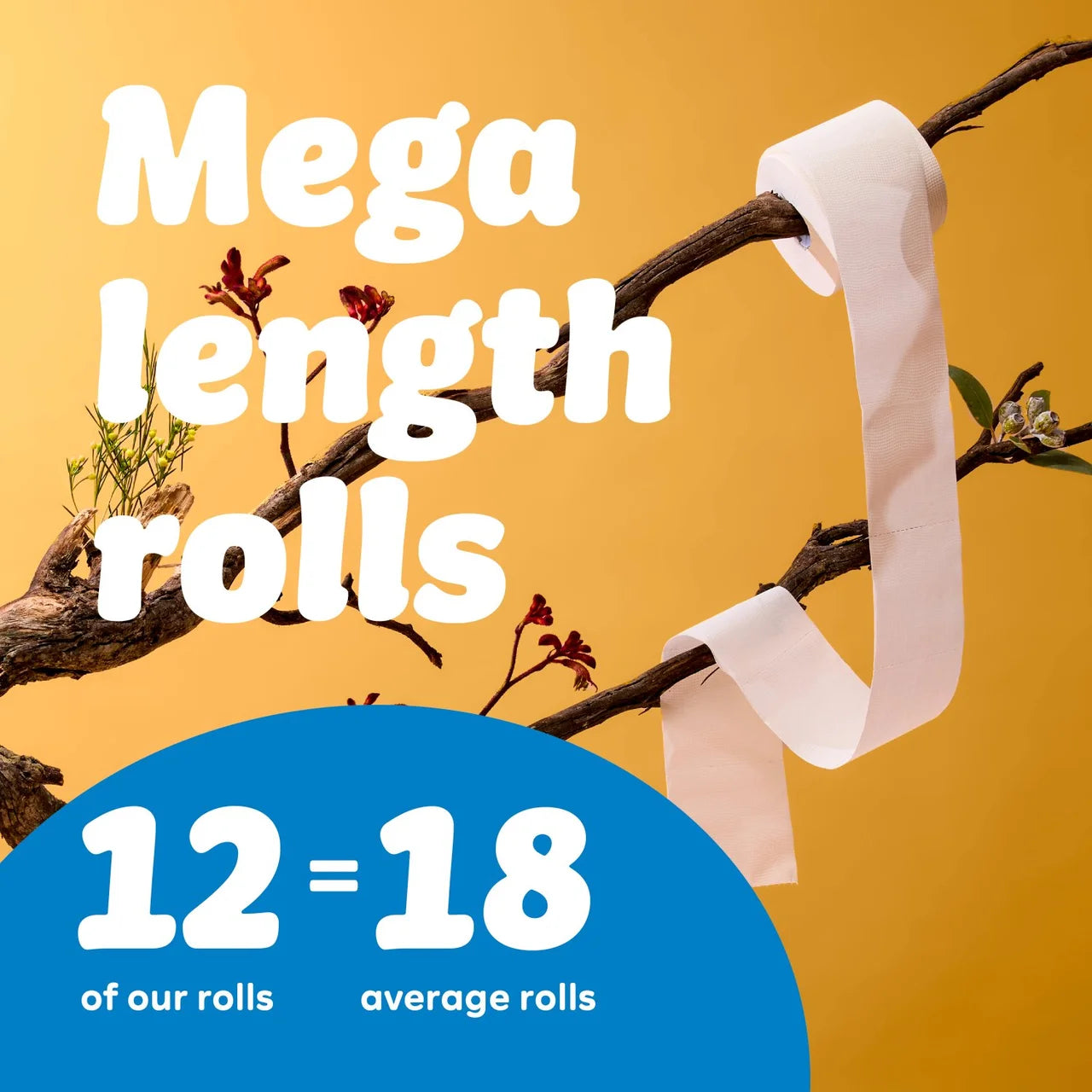 Who Gives A Crap Extra Soft Limited Edition Mega Rolls 12 per pack