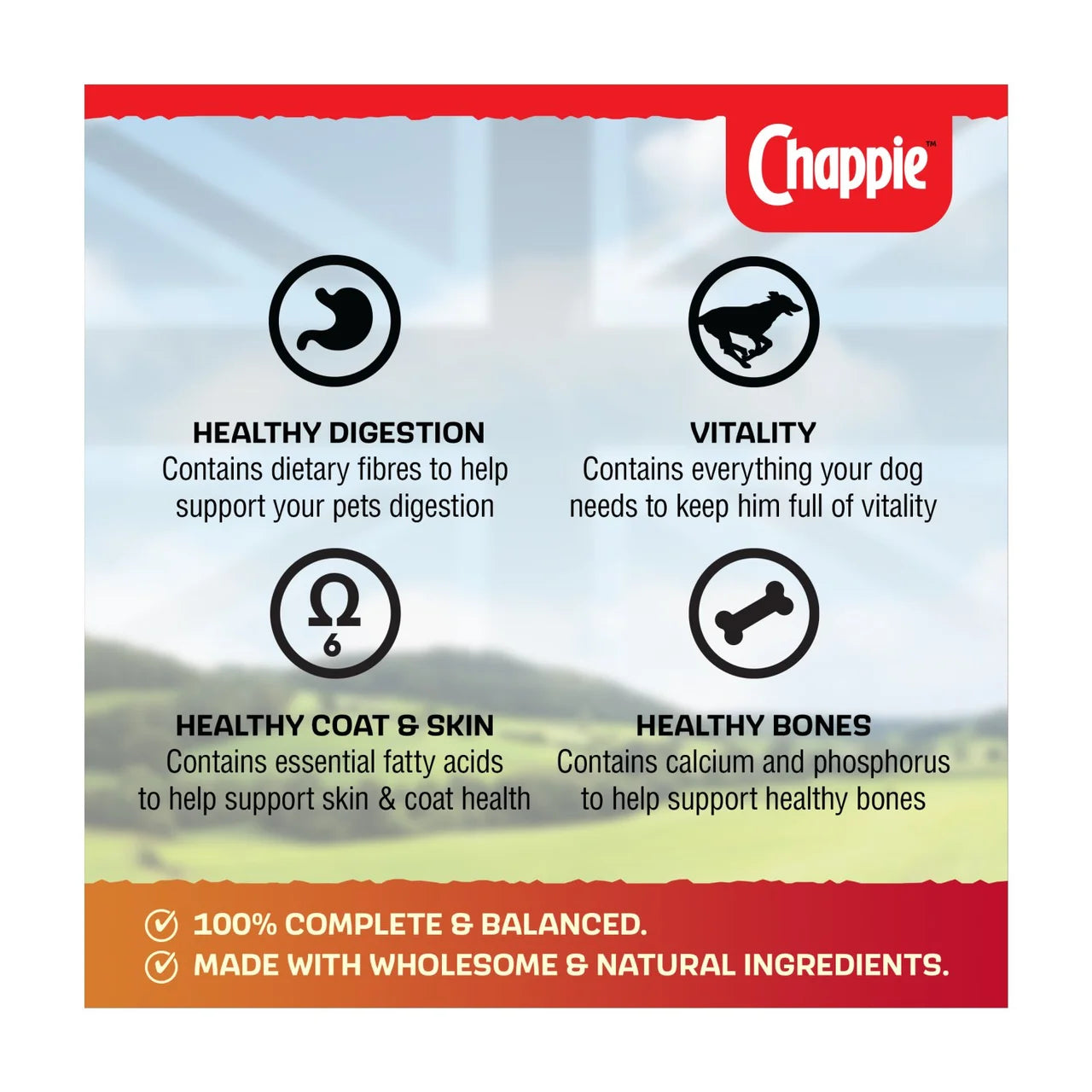Chappie Adult Wet Dog Food Tins Favourites in Loaf 6x412g