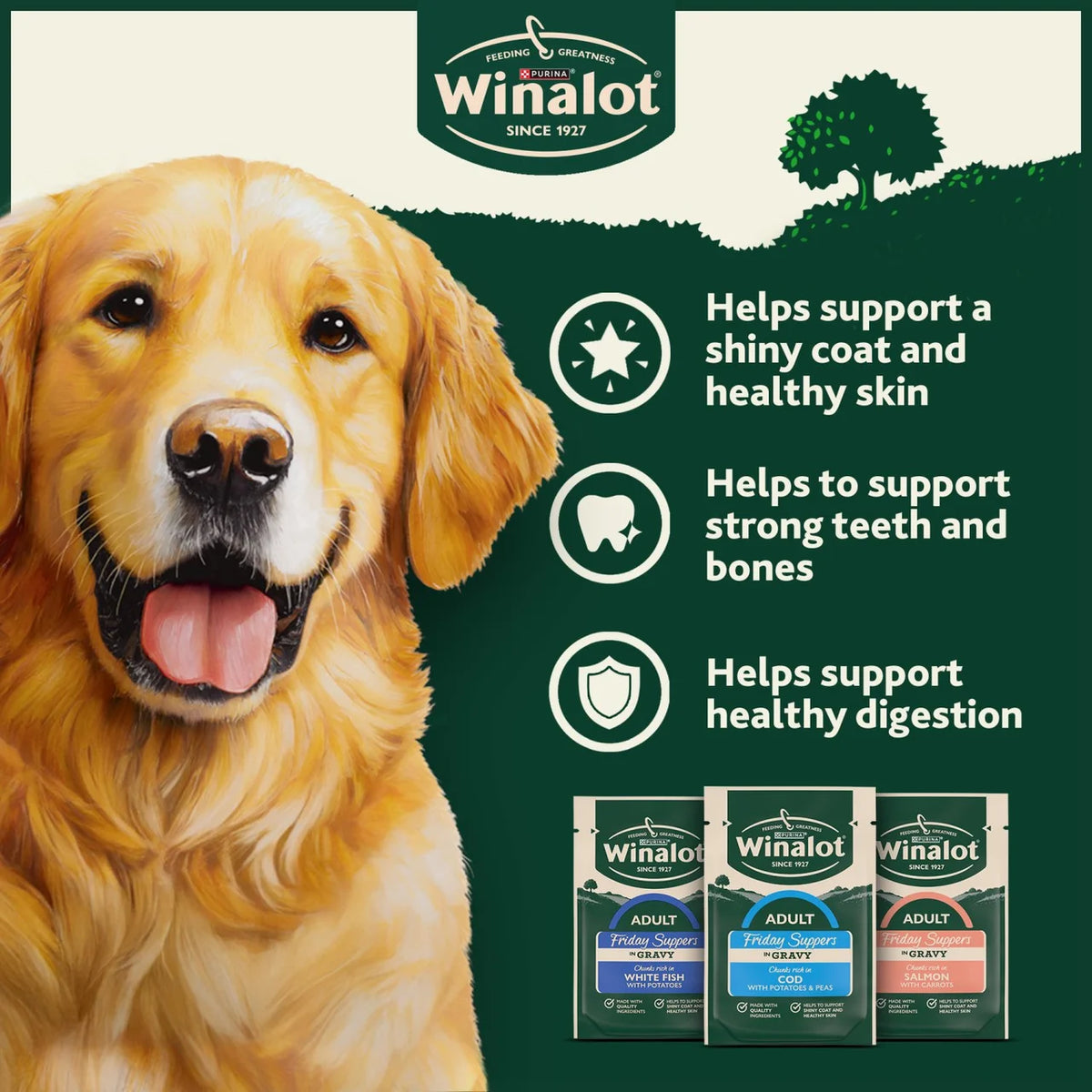 Winalot Friday Suppers Mixed in Gravy Wet Dog Food 40 x 100g