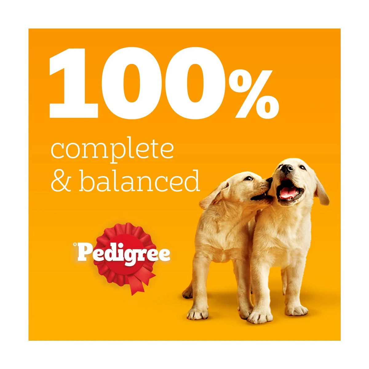 Pedigree Puppy Wet Dog Food Tins Mixed in Jelly 6 x 400g