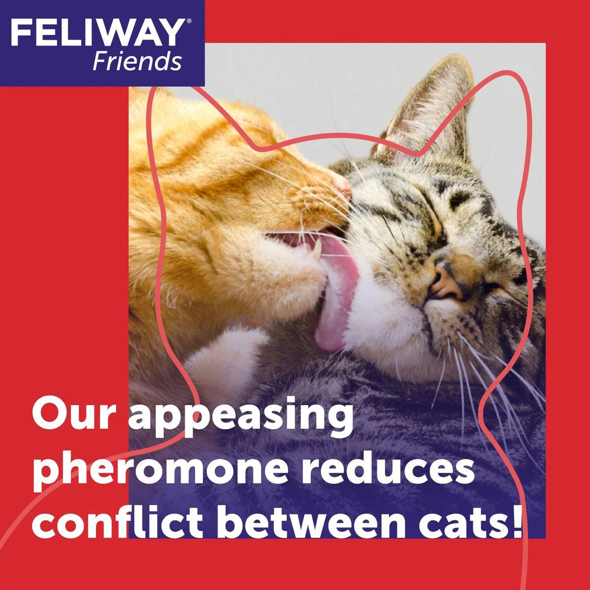 Feliway Friends Cat Calming Diffuser Refill 48ml