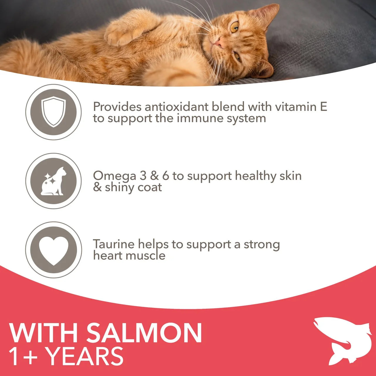 IAMS Advanced Nutrition Adult Cat Food With Salmon 800g