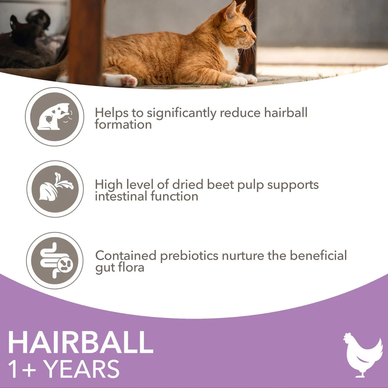 IAMS Advanced Nutrition Hairball Control Cat Food With Fresh Chicken 800g
