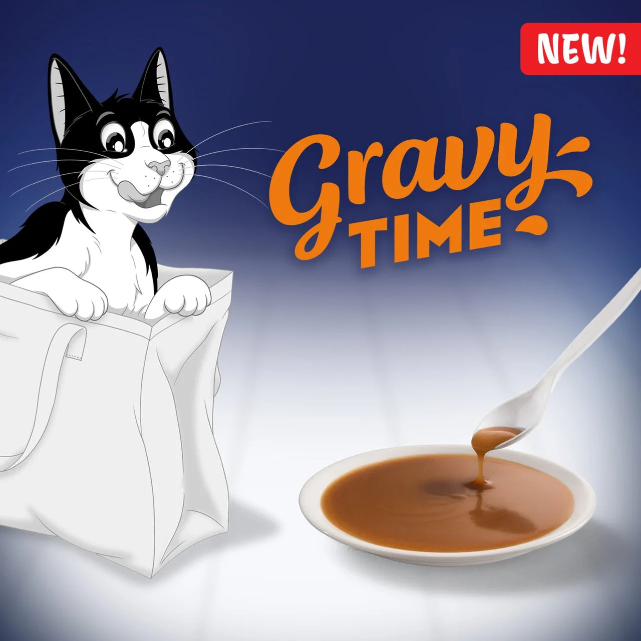 Felix Gravy Time Chicken and Turkey Wet Cat Food 6 x 40g