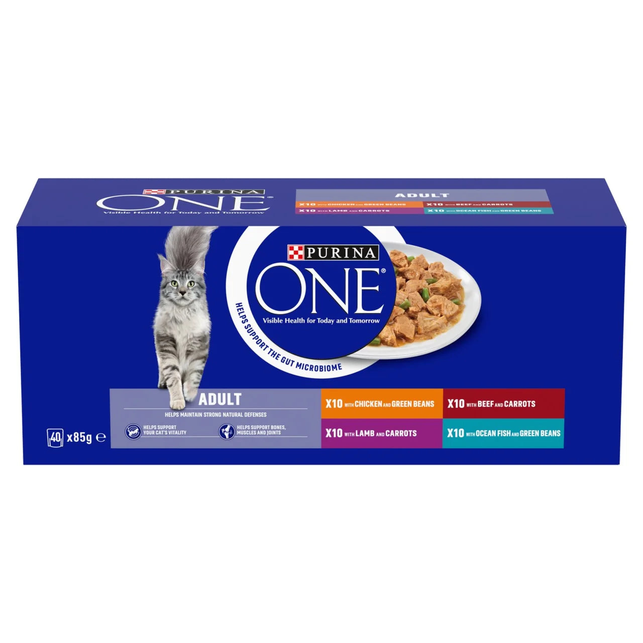 Purina One Mini Fillets Mixed Selection in Gravy Wet Cat Food 40 x 85g