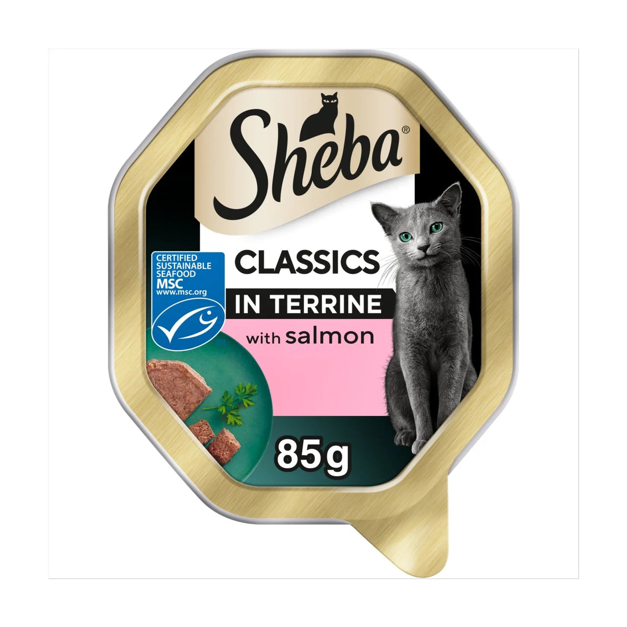Sheba Classics Cat Tray with MSC Salmon in Terrine 85g