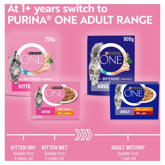 PURINA ONE Kitten Mini Fillets Salmon and Chicken Wet Cat Food 8 x 85g
