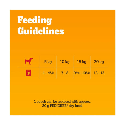 Pedigree Adult Wet Dog Food Pouches Mixed Gravy Mega Pack 40x100g